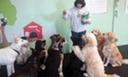 DOGGIE DAYCARE in DUBOIS