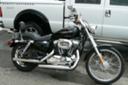 2005 HARLEY 1200 SPORTSTER XLC - LOW LOW MILES!